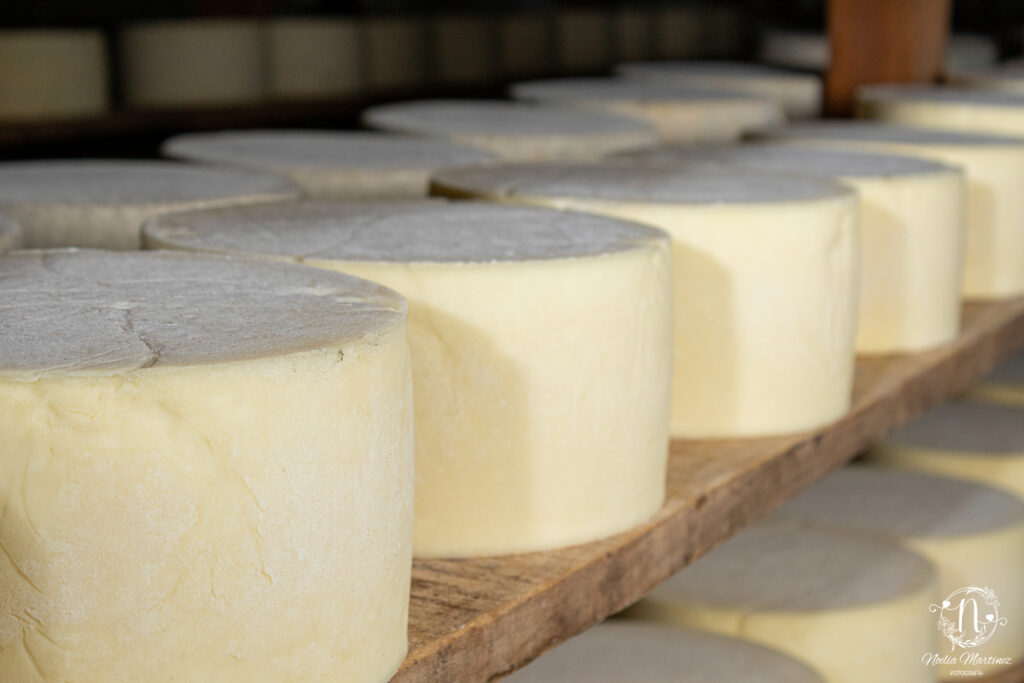 Visita a las bodegas